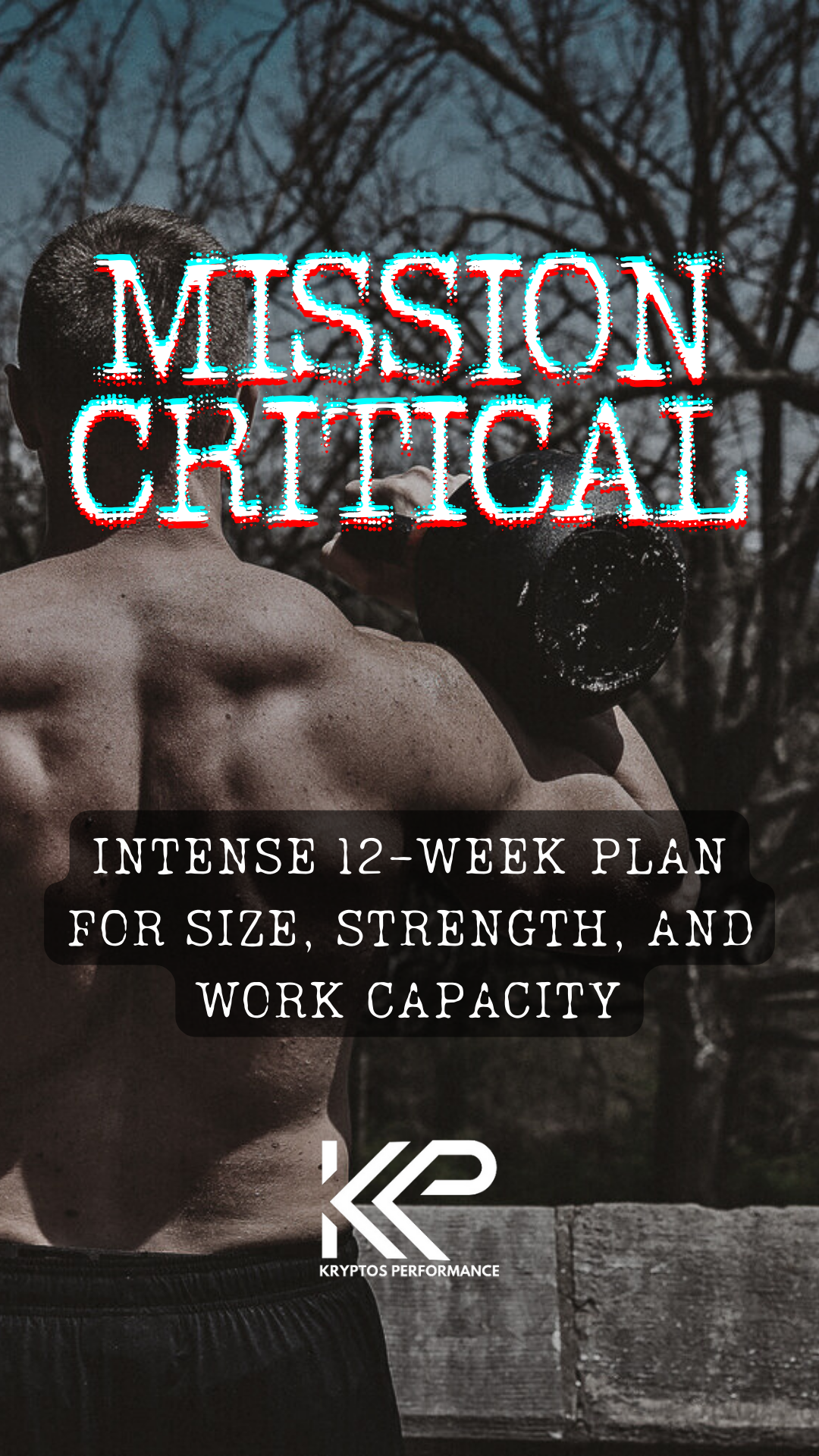 MISSION CRITICAL 12-WEEK MASS PLAN